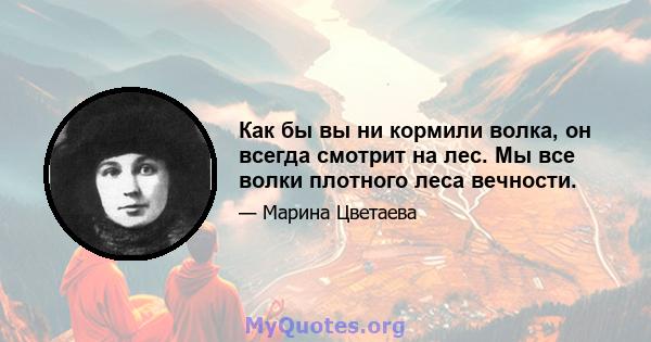 Как бы вы ни кормили волка, он всегда смотрит на лес. Мы все волки плотного леса вечности.