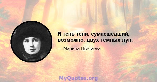 Я тень тени, сумасшедший, возможно, двух темных лун.