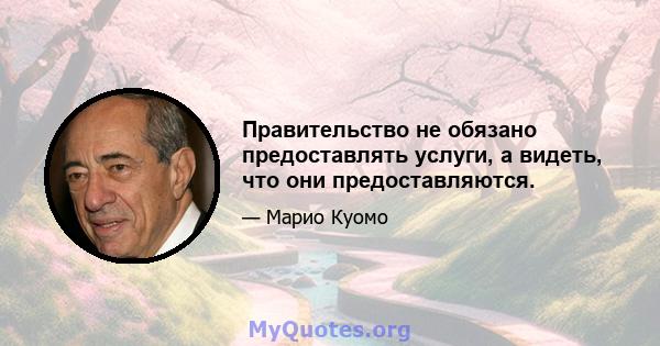 Правительство не обязано предоставлять услуги, а видеть, что они предоставляются.