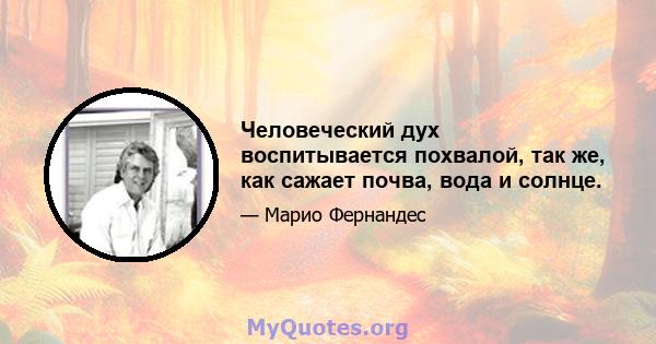 Человеческий дух воспитывается похвалой, так же, как сажает почва, вода и солнце.