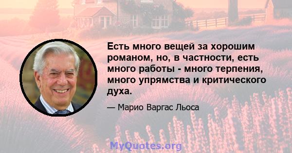 Есть много вещей за хорошим романом, но, в частности, есть много работы - много терпения, много упрямства и критического духа.