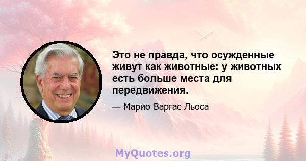 Это не правда, что осужденные живут как животные: у животных есть больше места для передвижения.