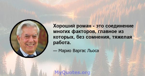 Хороший роман - это соединение многих факторов, главное из которых, без сомнения, тяжелая работа.