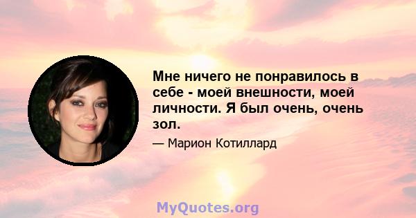 Мне ничего не понравилось в себе - моей внешности, моей личности. Я был очень, очень зол.