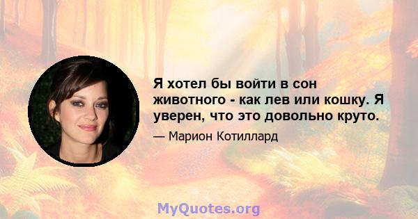 Я хотел бы войти в сон животного - как лев или кошку. Я уверен, что это довольно круто.