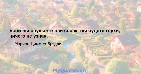 Если вы слушаете лай собак, вы будете глухи, ничего не узная.