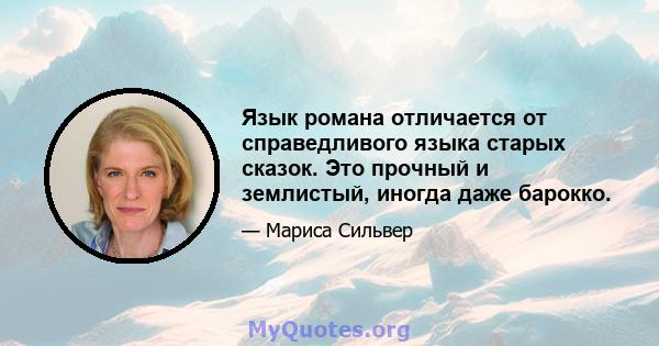 Язык романа отличается от справедливого языка старых сказок. Это прочный и землистый, иногда даже барокко.