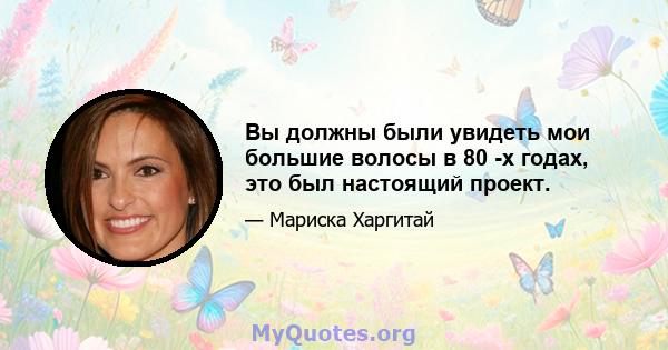 Вы должны были увидеть мои большие волосы в 80 -х годах, это был настоящий проект.