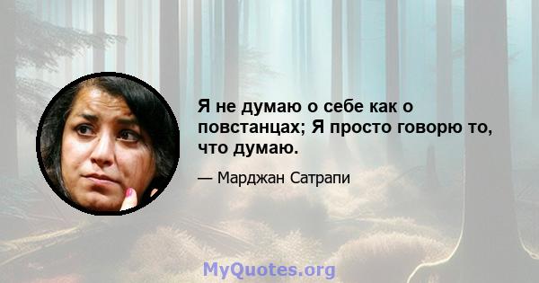 Я не думаю о себе как о повстанцах; Я просто говорю то, что думаю.