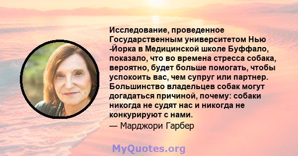 Исследование, проведенное Государственным университетом Нью -Йорка в Медицинской школе Буффало, показало, что во времена стресса собака, вероятно, будет больше помогать, чтобы успокоить вас, чем супруг или партнер.