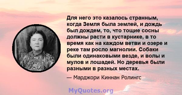 Для него это казалось странным, когда Земля была землей, и дождь был дождем, то, что тощие сосны должны расти в кустарнике, в то время как на каждом ветви и озере и реке там росло магнолии. Собаки были одинаковыми