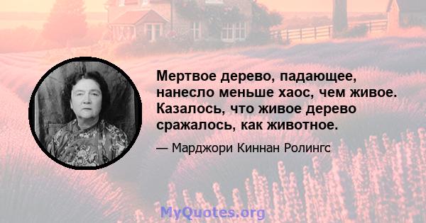 Мертвое дерево, падающее, нанесло меньше хаос, чем живое. Казалось, что живое дерево сражалось, как животное.