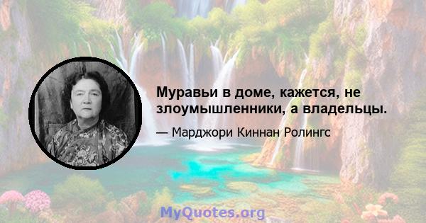 Муравьи в доме, кажется, не злоумышленники, а владельцы.