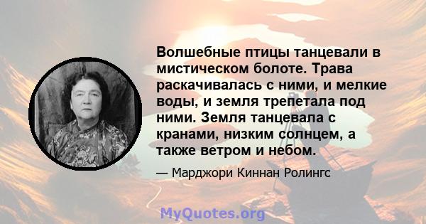 Волшебные птицы танцевали в мистическом болоте. Трава раскачивалась с ними, и мелкие воды, и земля трепетала под ними. Земля танцевала с кранами, низким солнцем, а также ветром и небом.