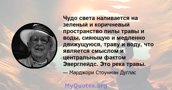 Чудо света наливается на зеленый и коричневый пространство пилы травы и воды, сияющую и медленно движущуюся, траву и воду, что является смыслом и центральным фактом Эверглейдс. Это река травы.