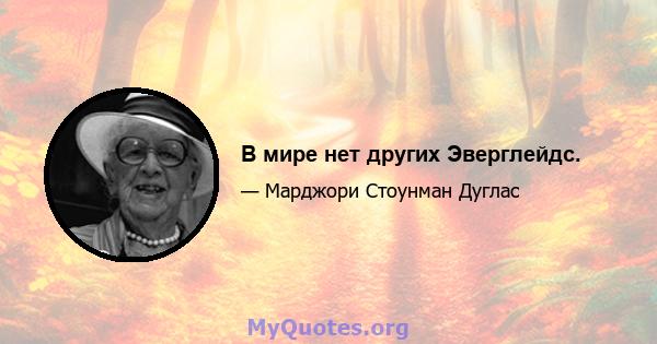 В мире нет других Эверглейдс.