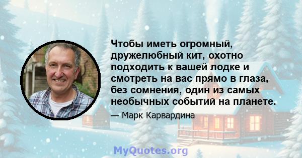 Чтобы иметь огромный, дружелюбный кит, охотно подходить к вашей лодке и смотреть на вас прямо в глаза, без сомнения, один из самых необычных событий на планете.