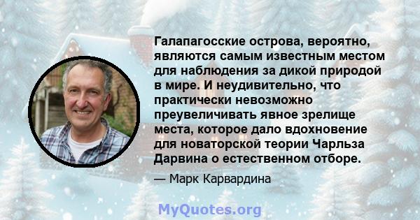 Галапагосские острова, вероятно, являются самым известным местом для наблюдения за дикой природой в мире. И неудивительно, что практически невозможно преувеличивать явное зрелище места, которое дало вдохновение для