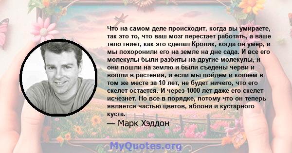 Что на самом деле происходит, когда вы умираете, так это то, что ваш мозг перестает работать, а ваше тело гниет, как это сделал Кролик, когда он умер, и мы похоронили его на земле на дне сада. И все его молекулы были