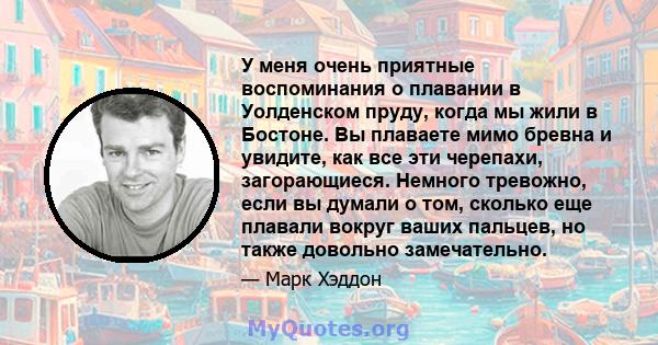 У меня очень приятные воспоминания о плавании в Уолденском пруду, когда мы жили в Бостоне. Вы плаваете мимо бревна и увидите, как все эти черепахи, загорающиеся. Немного тревожно, если вы думали о том, сколько еще