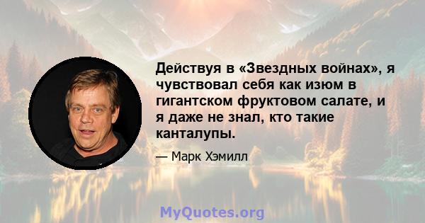 Действуя в «Звездных войнах», я чувствовал себя как изюм в гигантском фруктовом салате, и я даже не знал, кто такие канталупы.