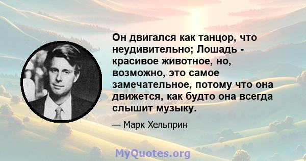 Он двигался как танцор, что неудивительно; Лошадь - красивое животное, но, возможно, это самое замечательное, потому что она движется, как будто она всегда слышит музыку.