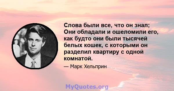 Слова были все, что он знал; Они обладали и ошеломили его, как будто они были тысячей белых кошек, с которыми он разделил квартиру с одной комнатой.