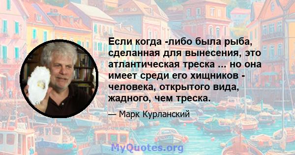 Если когда -либо была рыба, сделанная для вынесения, это атлантическая треска ... но она имеет среди его хищников - человека, открытого вида, жадного, чем треска.