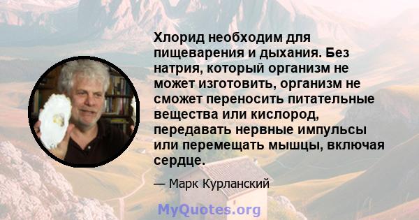 Хлорид необходим для пищеварения и дыхания. Без натрия, который организм не может изготовить, организм не сможет переносить питательные вещества или кислород, передавать нервные импульсы или перемещать мышцы, включая