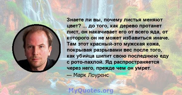 Знаете ли вы, почему листья меняют цвет? ... до того, как дерево протанет лист, он накачивает его от всего яда, от которого он не может избавиться иначе. Там этот красный-это мужская кожа, покрывая разрывами вес после