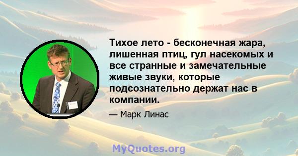 Тихое лето - бесконечная жара, лишенная птиц, гул насекомых и все странные и замечательные живые звуки, которые подсознательно держат нас в компании.