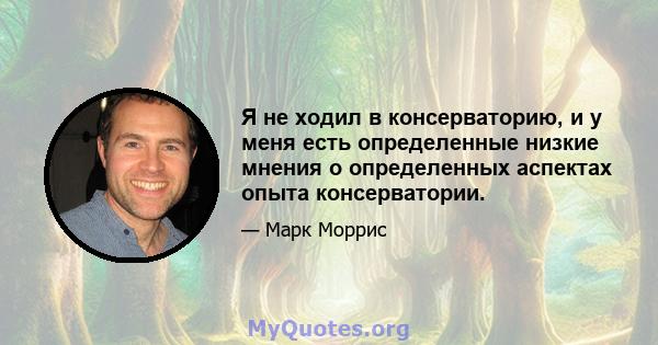 Я не ходил в консерваторию, и у меня есть определенные низкие мнения о определенных аспектах опыта консерватории.