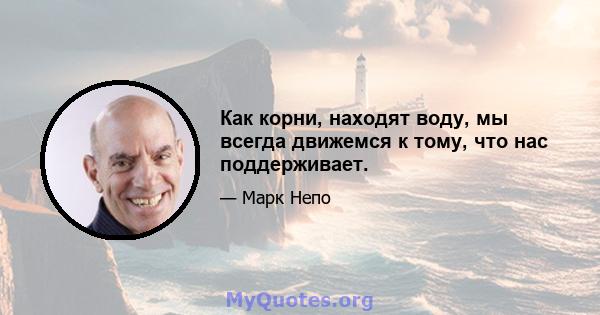 Как корни, находят воду, мы всегда движемся к тому, что нас поддерживает.