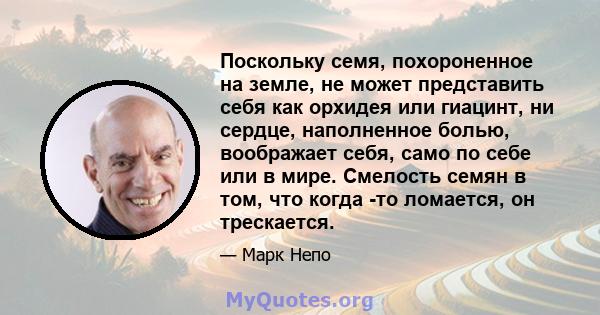 Поскольку семя, похороненное на земле, не может представить себя как орхидея или гиацинт, ни сердце, наполненное болью, воображает себя, само по себе или в мире. Смелость семян в том, что когда -то ломается, он