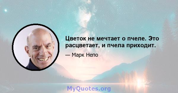 Цветок не мечтает о пчеле. Это расцветает, и пчела приходит.