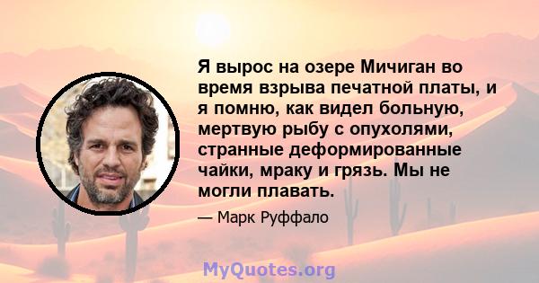 Я вырос на озере Мичиган во время взрыва печатной платы, и я помню, как видел больную, мертвую рыбу с опухолями, странные деформированные чайки, мраку и грязь. Мы не могли плавать.