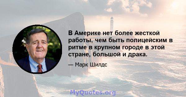 В Америке нет более жесткой работы, чем быть полицейским в ритме в крупном городе в этой стране, большой и драка.