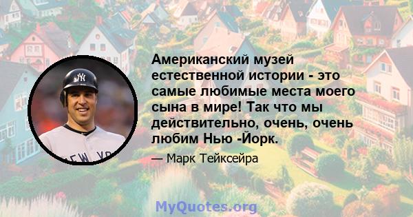 Американский музей естественной истории - это самые любимые места моего сына в мире! Так что мы действительно, очень, очень любим Нью -Йорк.