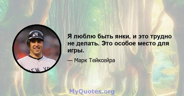 Я люблю быть янки, и это трудно не делать. Это особое место для игры.