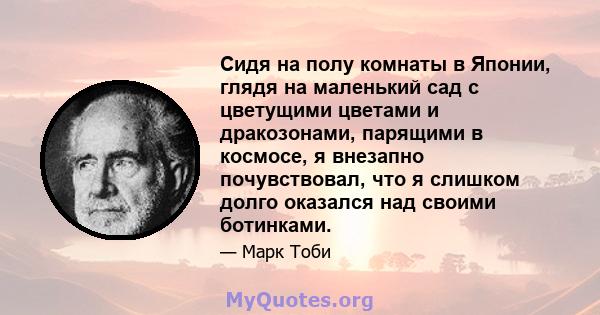 Сидя на полу комнаты в Японии, глядя на маленький сад с цветущими цветами и дракозонами, парящими в космосе, я внезапно почувствовал, что я слишком долго оказался над своими ботинками.