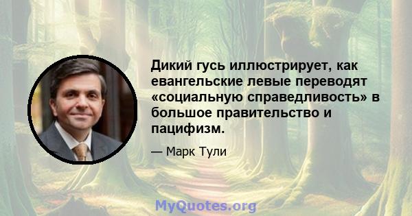 Дикий гусь иллюстрирует, как евангельские левые переводят «социальную справедливость» в большое правительство и пацифизм.