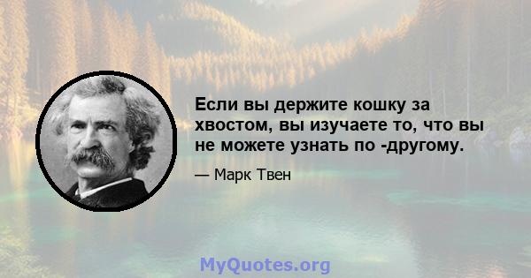 Если вы держите кошку за хвостом, вы изучаете то, что вы не можете узнать по -другому.