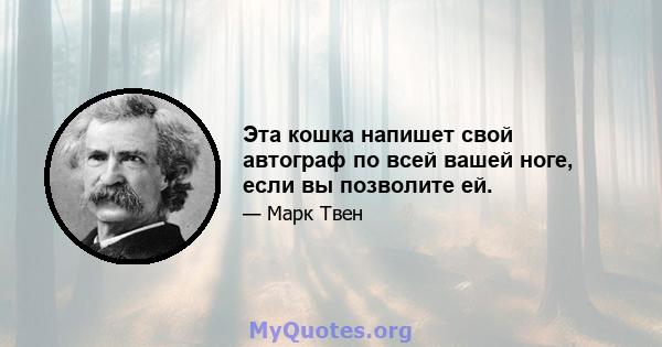 Эта кошка напишет свой автограф по всей вашей ноге, если вы позволите ей.