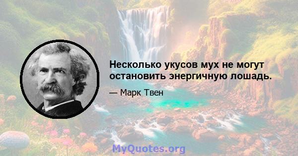 Несколько укусов мух не могут остановить энергичную лошадь.