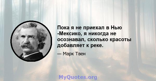 Пока я не приехал в Нью -Мексико, я никогда не осознавал, сколько красоты добавляет к реке.