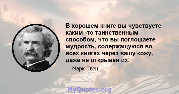 В хорошем книге вы чувствуете каким -то таинственным способом, что вы поглощаете мудрость, содержащуюся во всех книгах через вашу кожу, даже не открывая их.