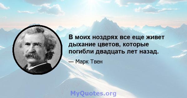 В моих ноздрях все еще живет дыхание цветов, которые погибли двадцать лет назад.