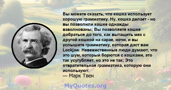 Вы можете сказать, что кошка использует хорошую грамматику. Ну, кошка делает - но вы позволили кошке однажды взволнованы; Вы позволяете кошке добраться до того, как вытащить мех с другой кошкой на сарае, ночи, и вы