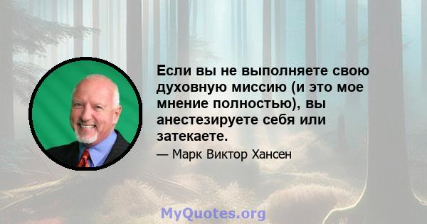 Если вы не выполняете свою духовную миссию (и это мое мнение полностью), вы анестезируете себя или затекаете.