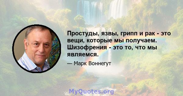 Простуды, язвы, грипп и рак - это вещи, которые мы получаем. Шизофрения - это то, что мы являемся.